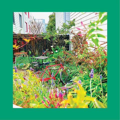 The Reds, Pinks and Purples - Unwishing Well