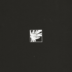 White Flowers - Night Drive/Portra 12"